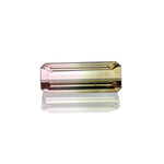 1.30ct Bi-Colour Tourmaline - MAYS
