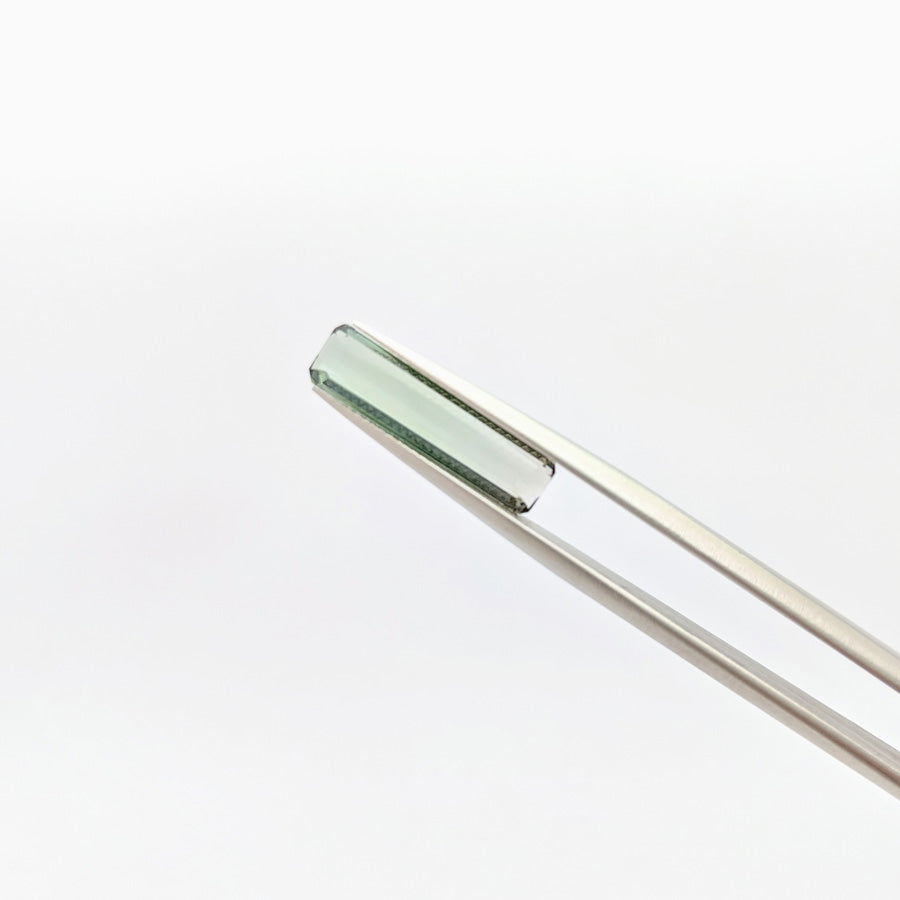2.63ct Bi-ColourTourmaline - MAYS