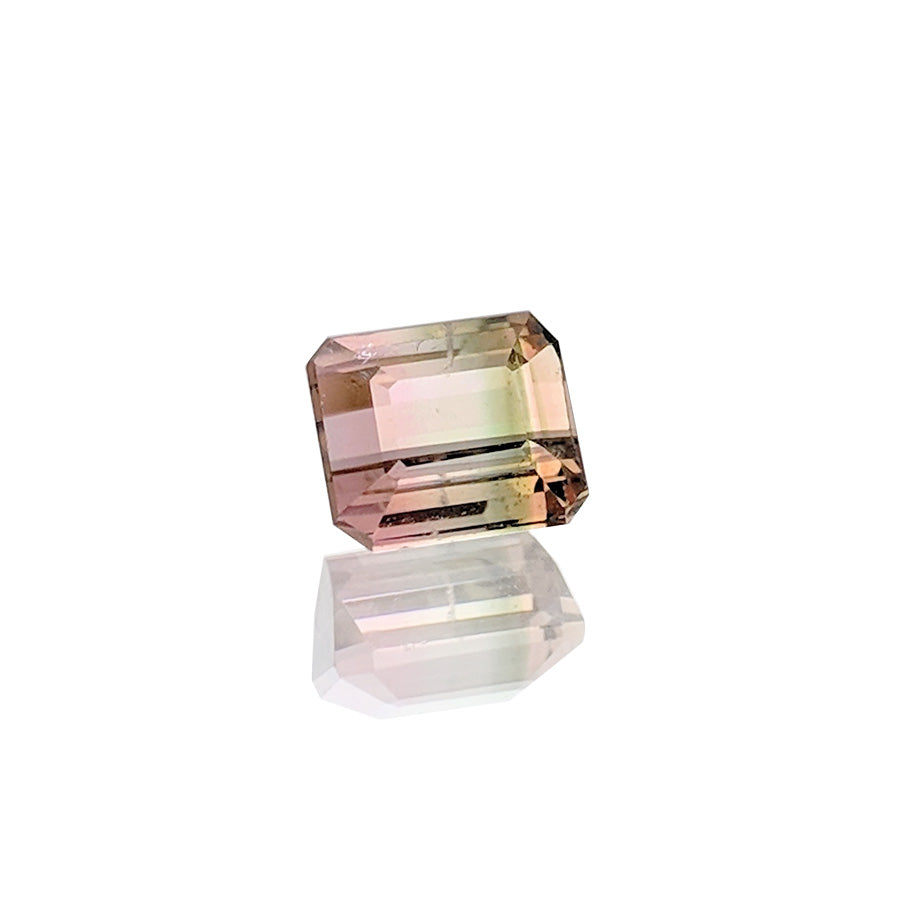 0.86ct Bi-ColourTourmaline - MAYS