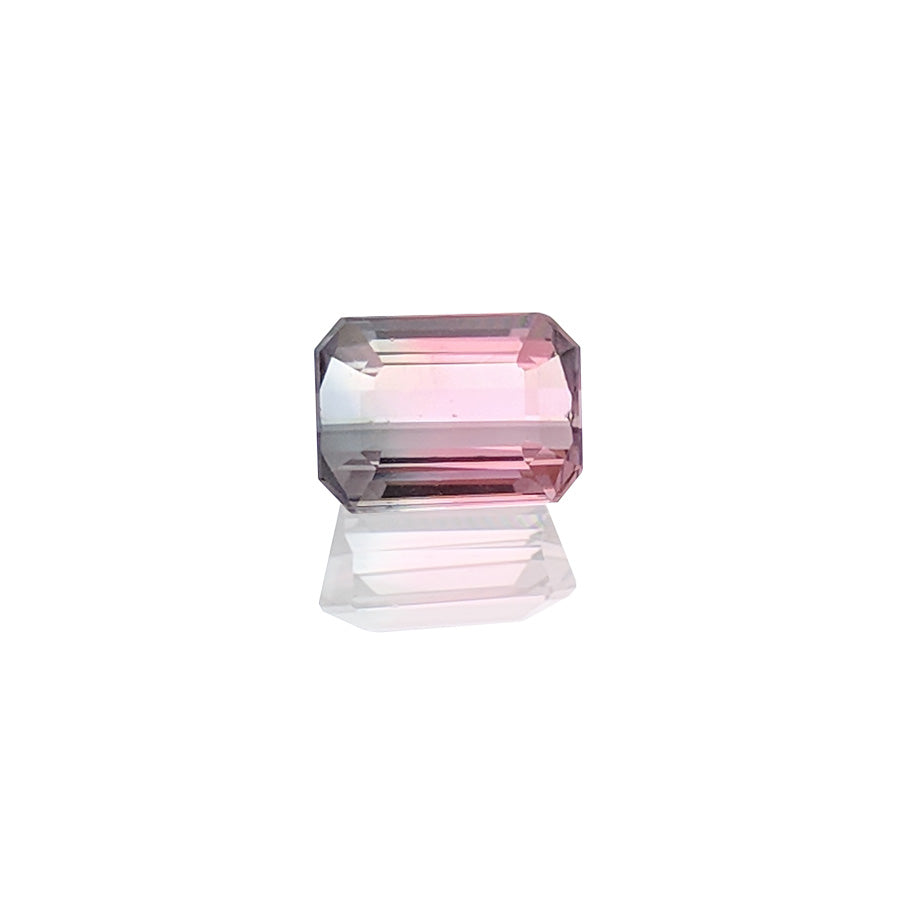 0.82ct Bi-ColourTourmaline - MAYS