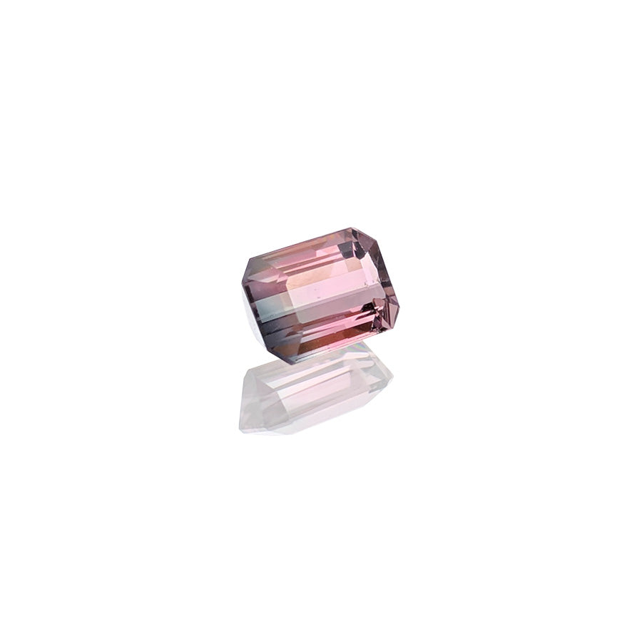 0.82ct Bi-ColourTourmaline - MAYS