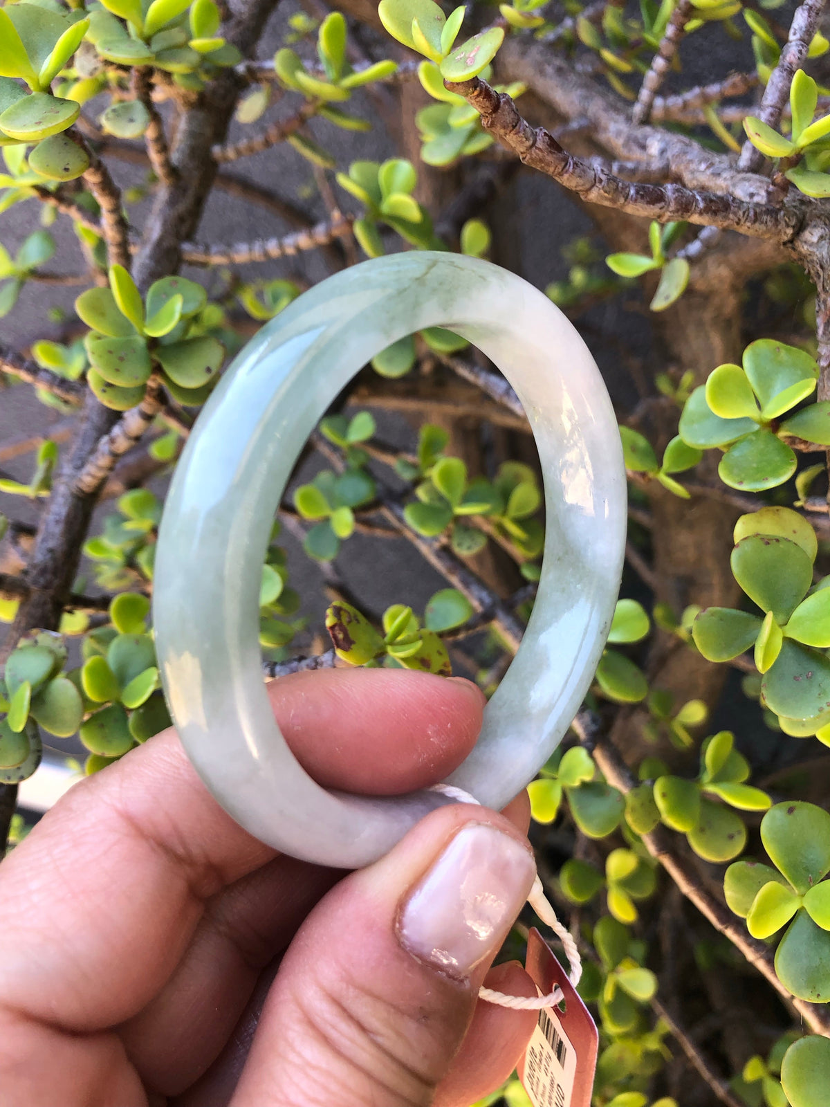 Certified Grade A Green and white Traditional Jade Bangle - 55mm Half Moon