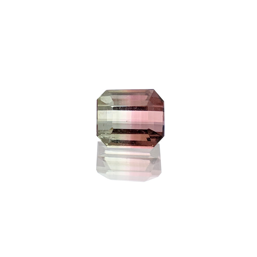 1.25ct Bi-Colour Watermalon Tourmaline - MAYS