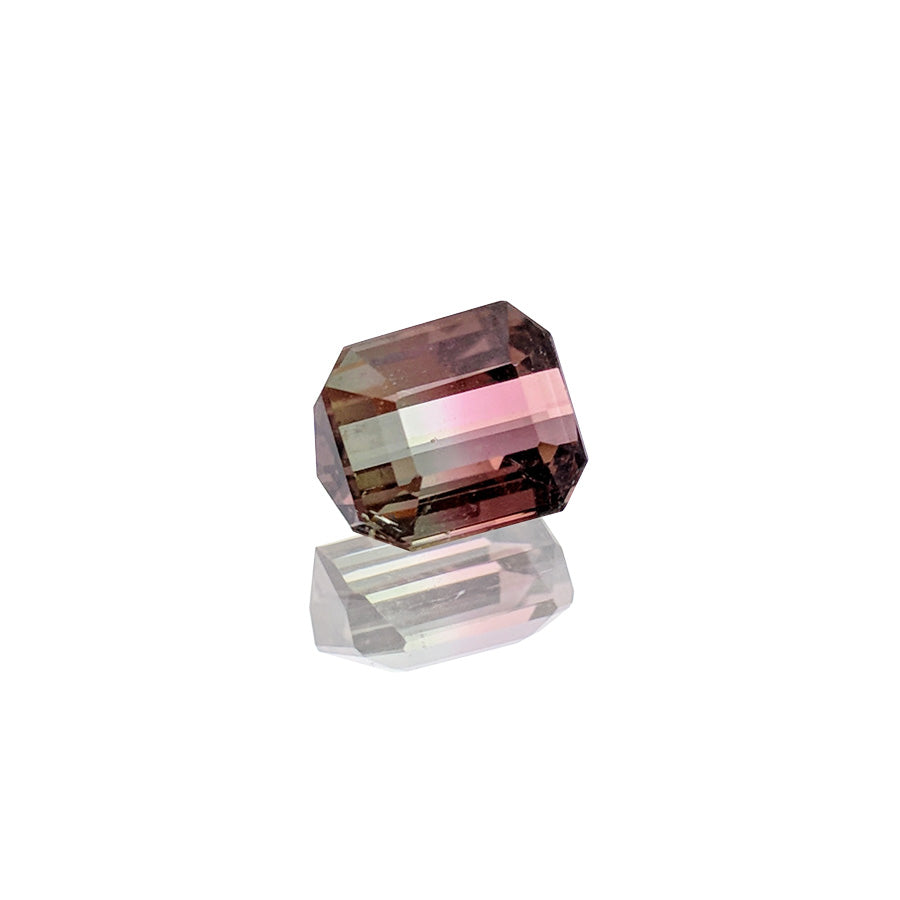 1.25ct Bi-Colour Watermalon Tourmaline - MAYS