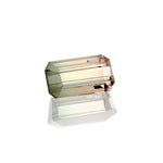 0.89ct Bi-Colour Tourmaline - MAYS