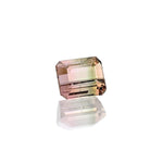 0.86ct Bi-ColourTourmaline - MAYS