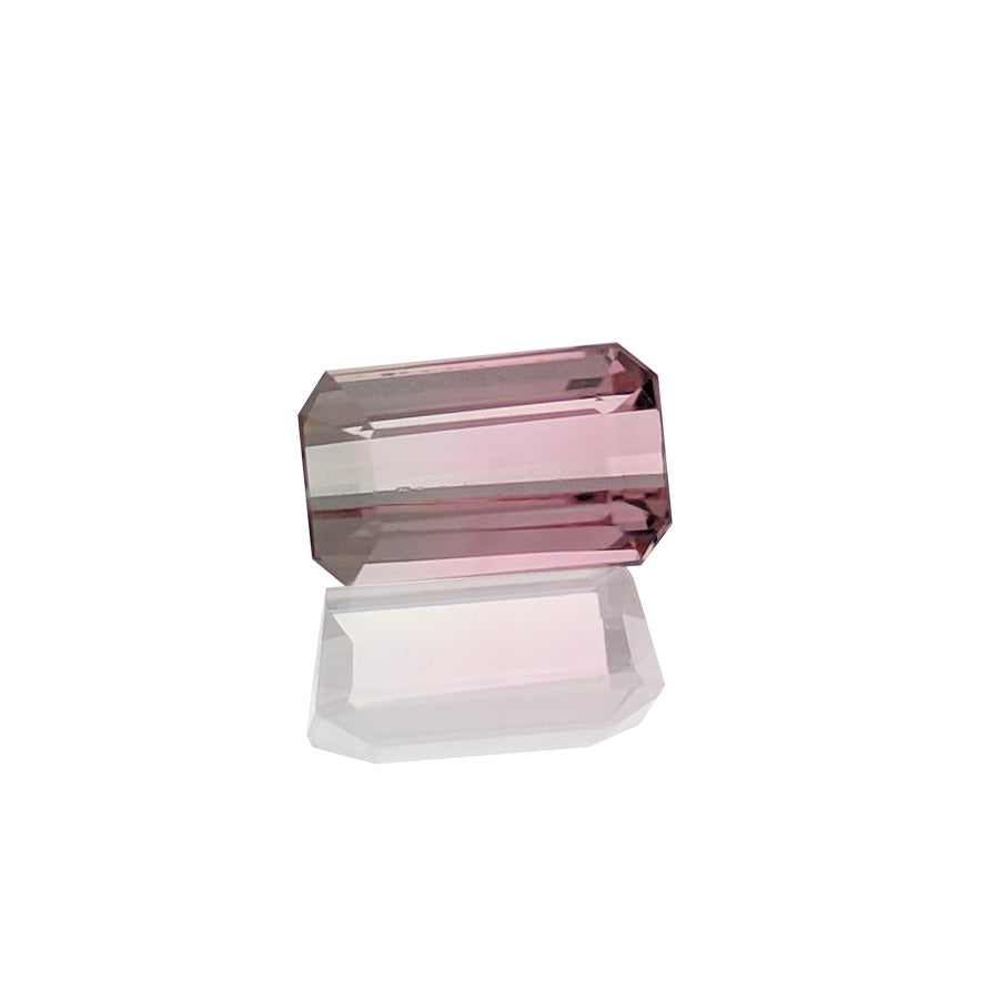 1.47ct Bi-ColourTourmaline - MAYS