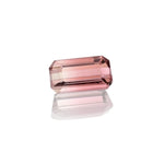 0.82ct Bi-Colour Tourmaline - MAYS