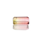 0.80ct Bi-Colour Tourmaline - MAYS