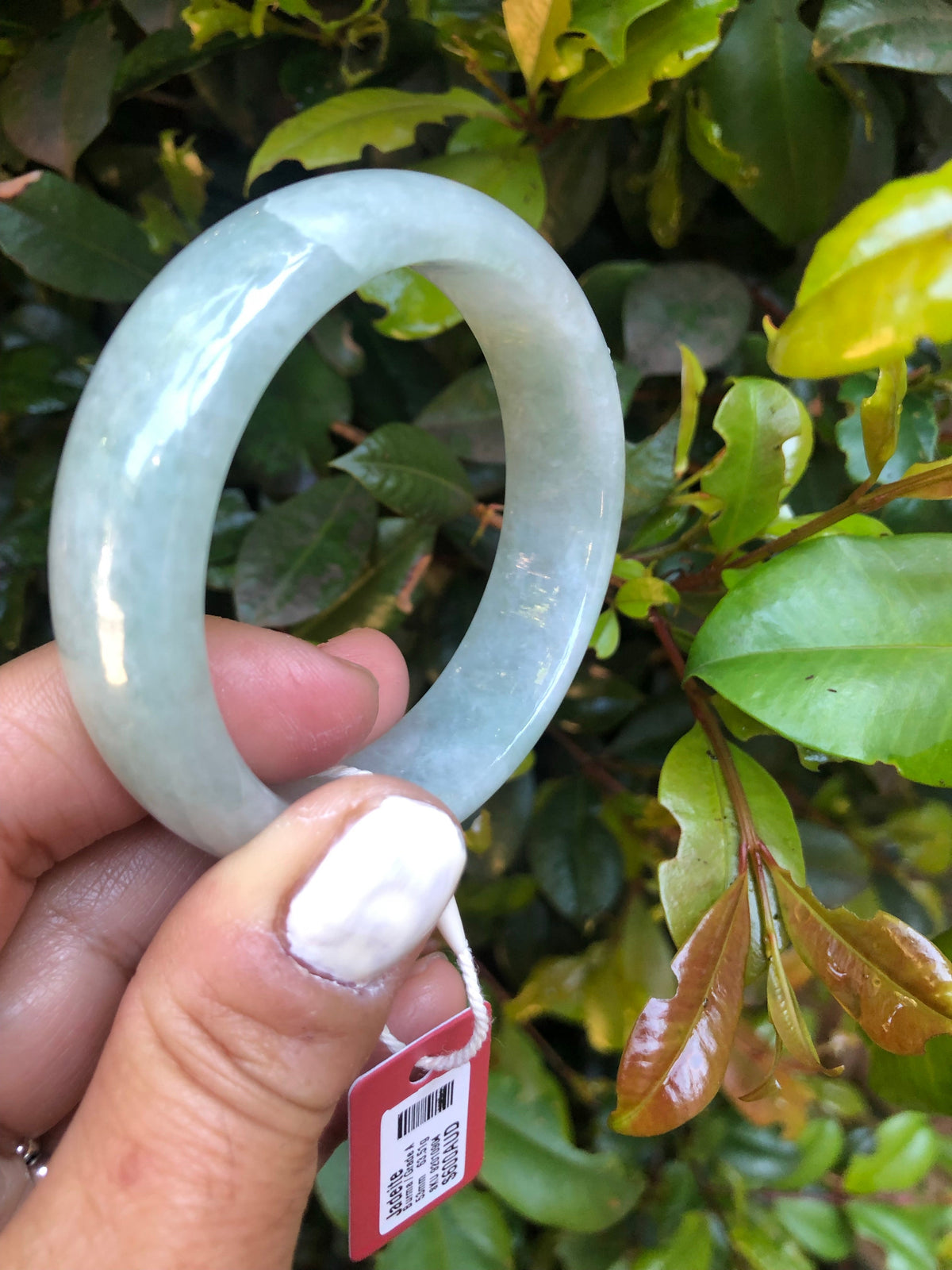 Real Grade A Light green Traditional Jade Bangle Bracelet - 53mm Half Moon